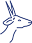 Waddan Logo